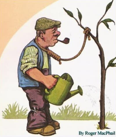 http://1.bp.blogspot.com/_DW_dyBBaOTQ/Si1ni0IWeSI/AAAAAAAAEFA/82ZckSFXWHs/s800/roger-macphail-old-gardener.jpg