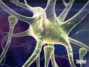 1153885887_sci1153365891_i_6752_full 1153885887_sci1153365891_i_6752_full