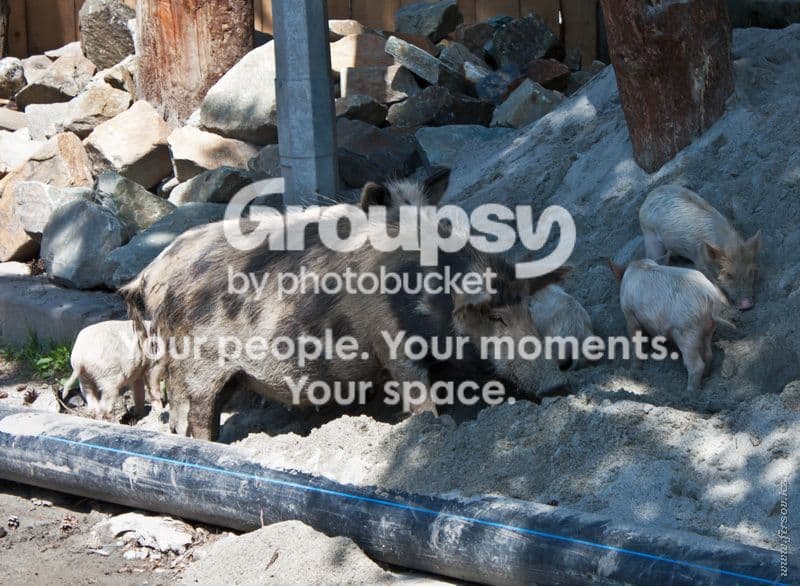 Photobucket