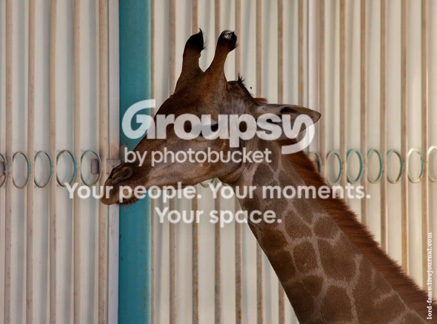 Photobucket