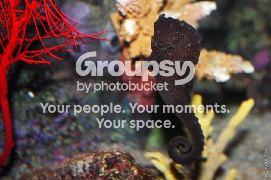 Photobucket