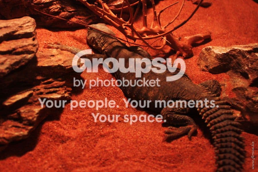 Photobucket