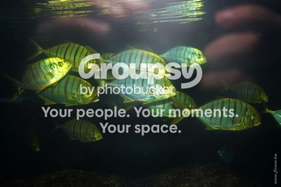 Photobucket