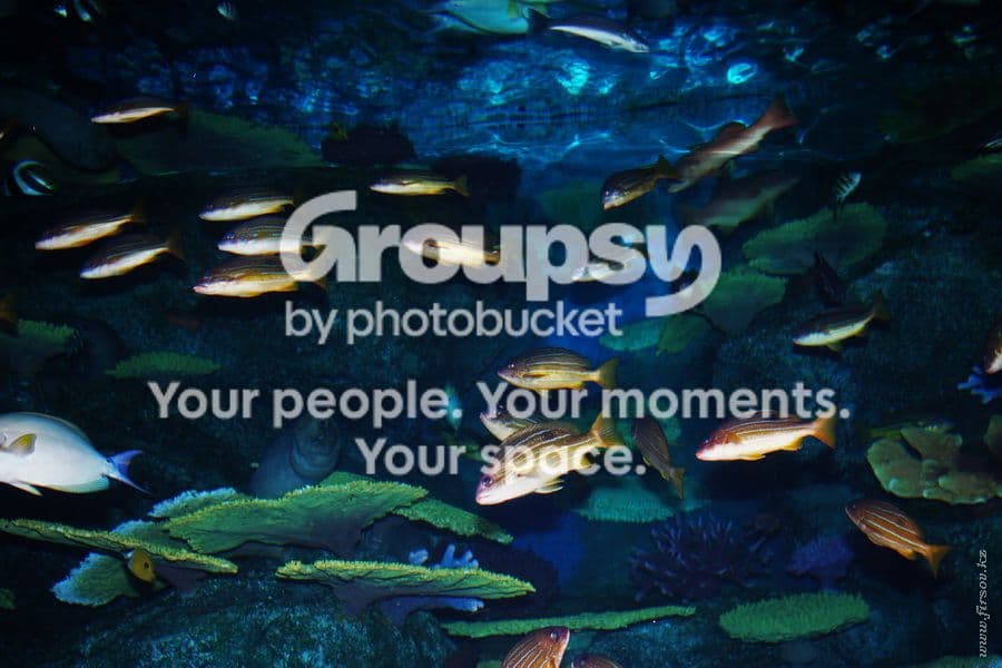 Photobucket