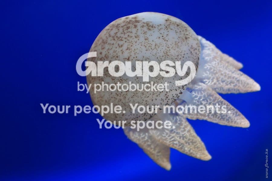 Photobucket