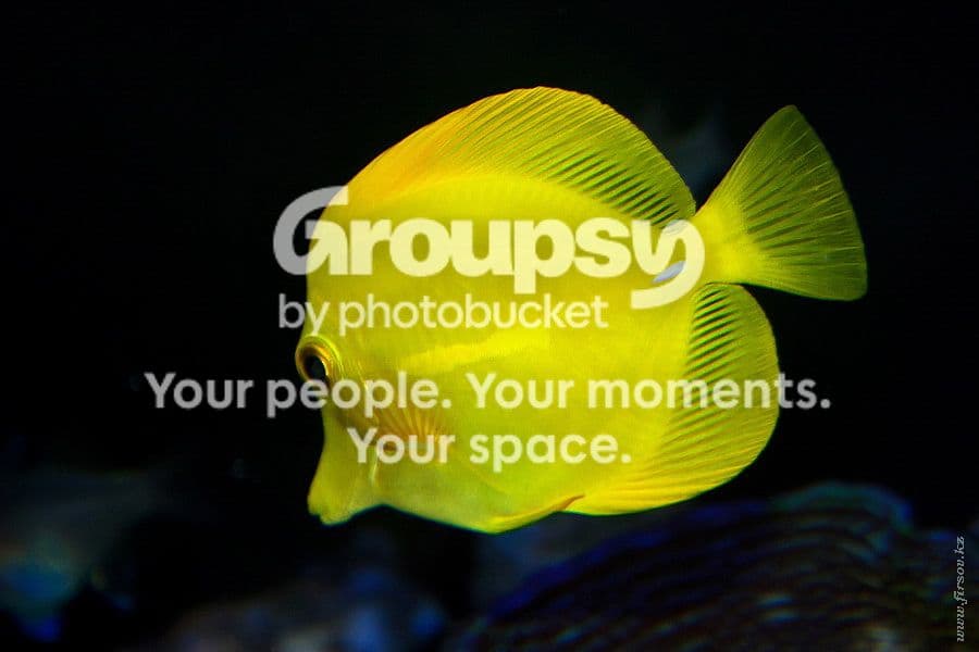 Photobucket