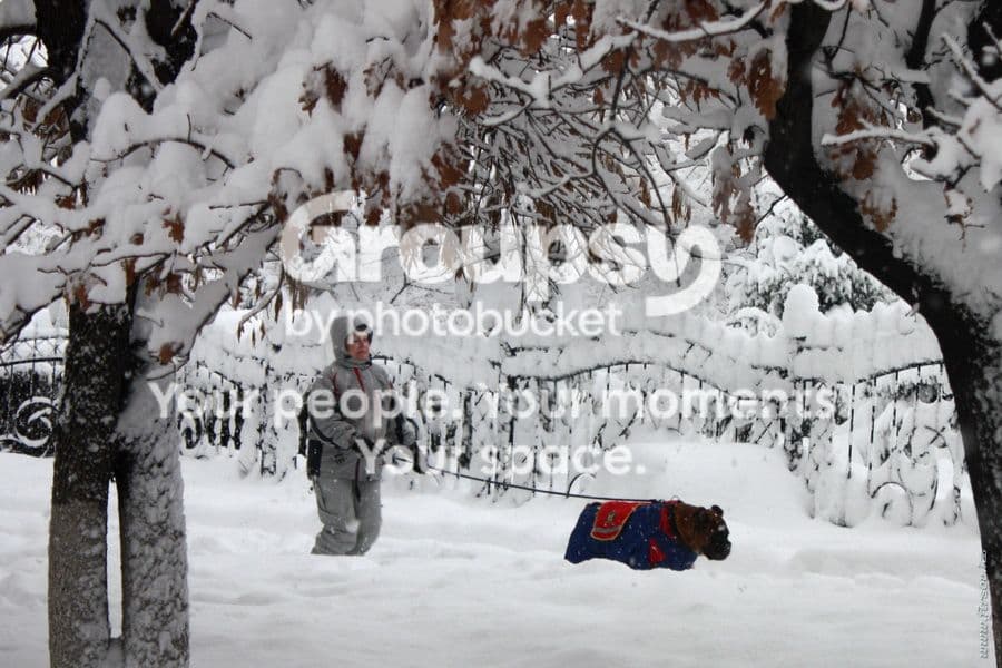 Photobucket