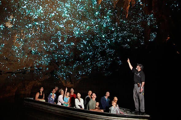 Glow Worm caves