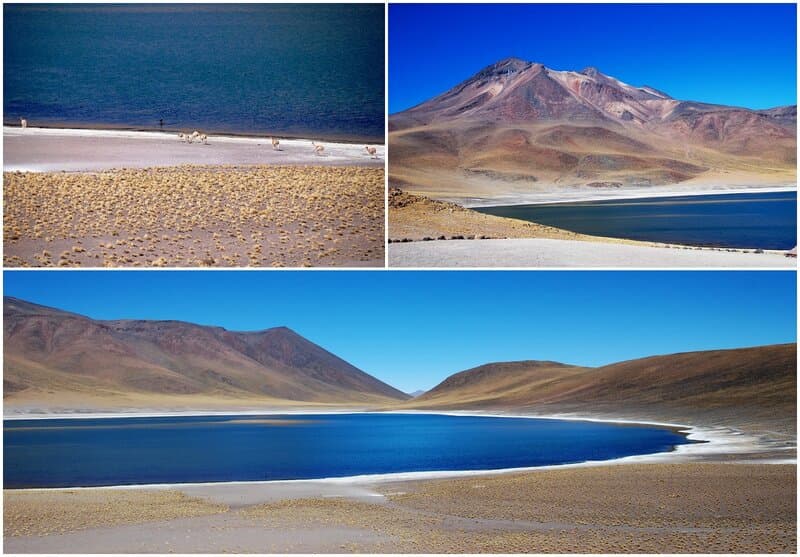 PicMonkey Collage-6.jpg