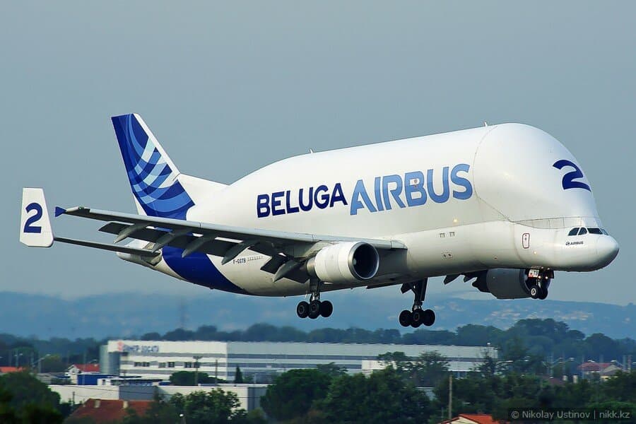 Airbus A300 Beluga Super Transporter