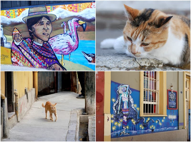PicMonkey Collage-4.jpg