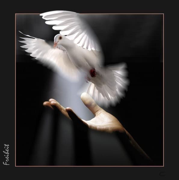 0c2149c948c19cd4095396c33f01d9cb (595x600, 38Kb)