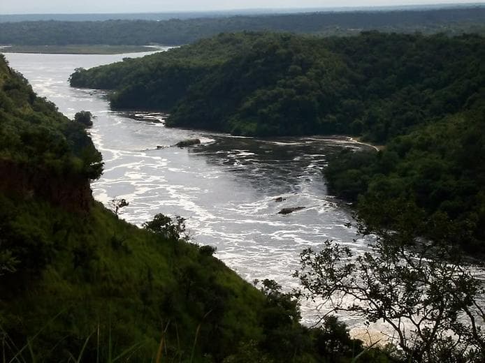 Тёмные воды Тёмные воды