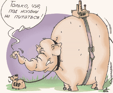 ERP ERP