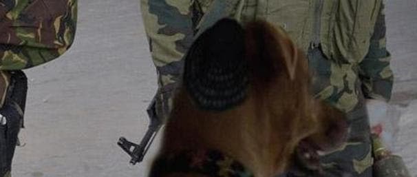 3tRZSuEbC6dA9Nf0kN1aDcz0C0BsHH.jpg