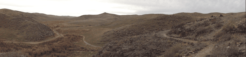 Тамгалы Тамгалы