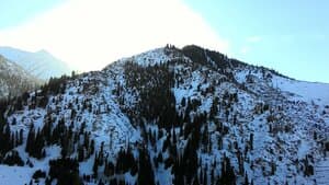 P_20150111_153437.jpg P_20150111_153437.jpg