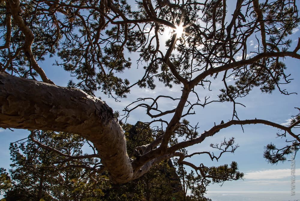 Baikal_lake 22.JPG Baikal_lake 22.JPG