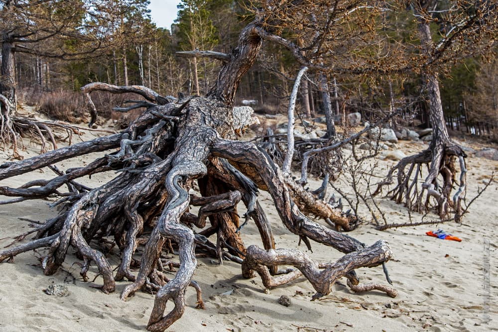 Baikal_lake 45.JPG Baikal_lake 45.JPG