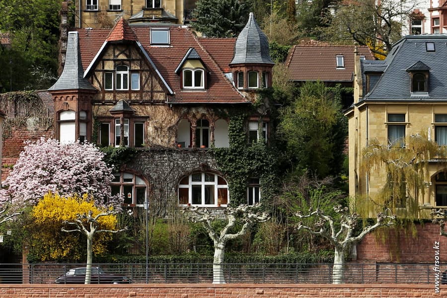 Heidelberg_201311_zps6a3dd933.JPG Heidelberg_201311_zps6a3dd933.JPG