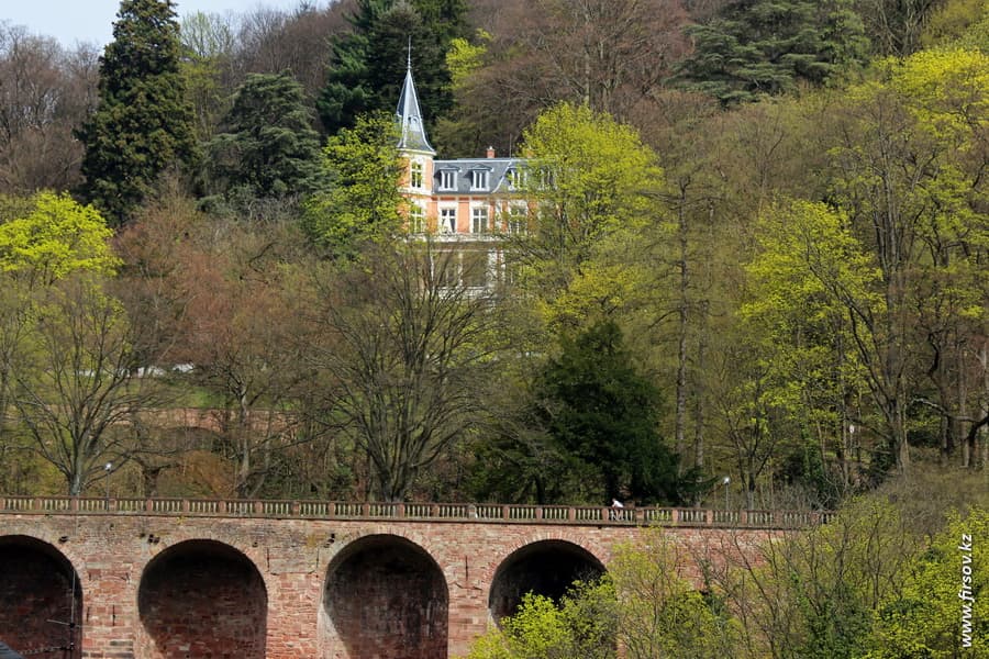 Heidelberg_201337_zpsdb9f1563.JPG Heidelberg_201337_zpsdb9f1563.JPG