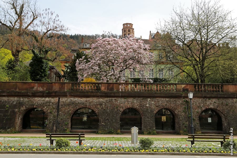 Heidelberg_201312_zps86ee4554.JPG Heidelberg_201312_zps86ee4554.JPG