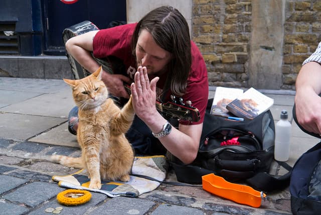 a-street-cat-named-bob-high-five