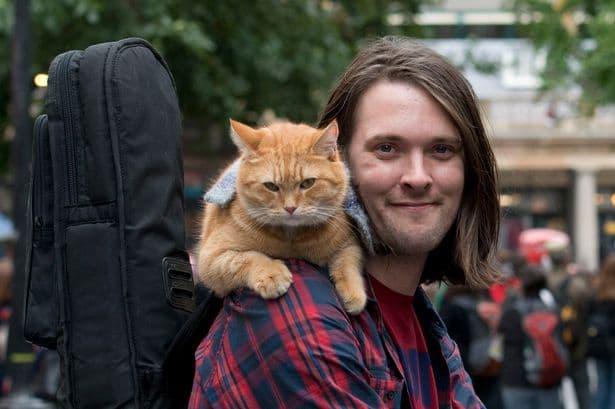 James-Bowen-Street-Cat-Bob