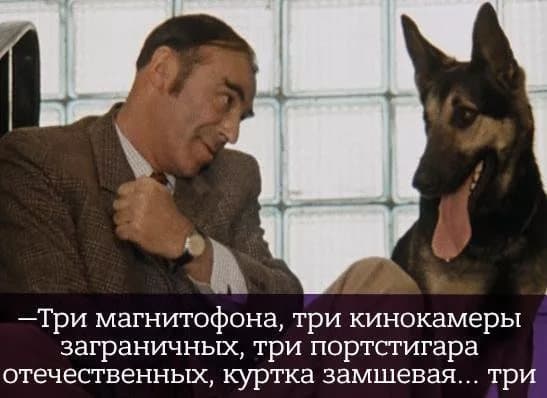 Шпак жалуется милицейской собаке Шпак жалуется милицейской собаке