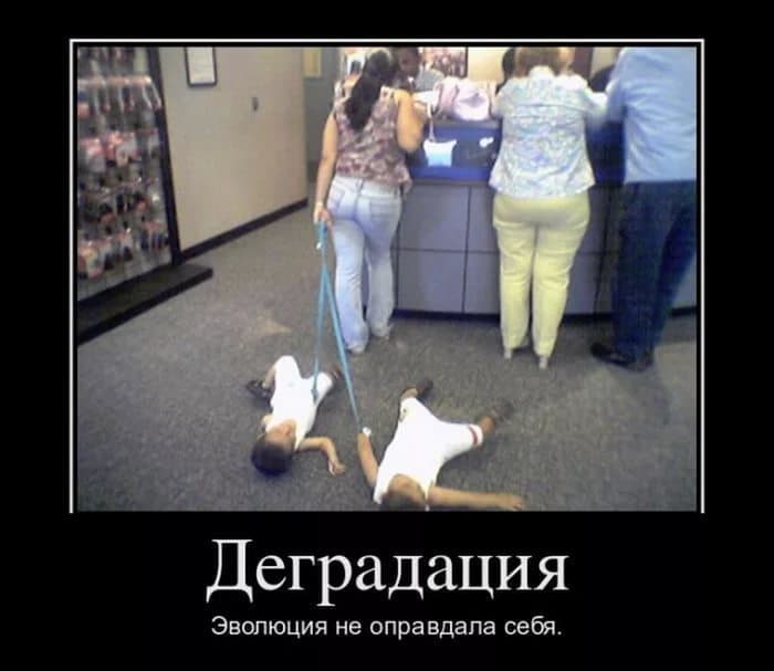 Эволюция цивилизованного общества Эволюция цивилизованного общества