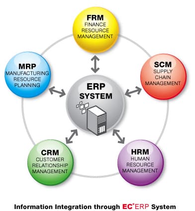 ERP System Structure ERP System Structure