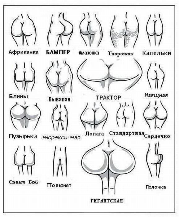 Жопы Жопы