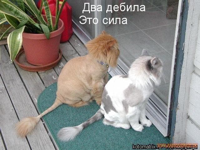 Позитив на Ювижн Позитив на Ювижн