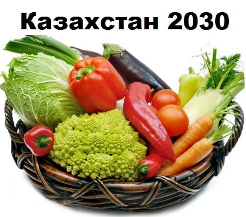 Общество Общество
