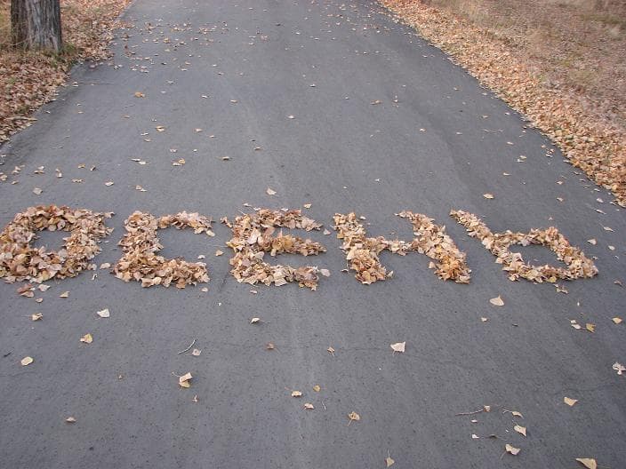 золотая осень
