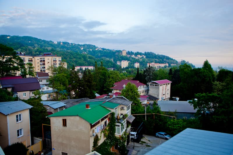 Хоста Хоста