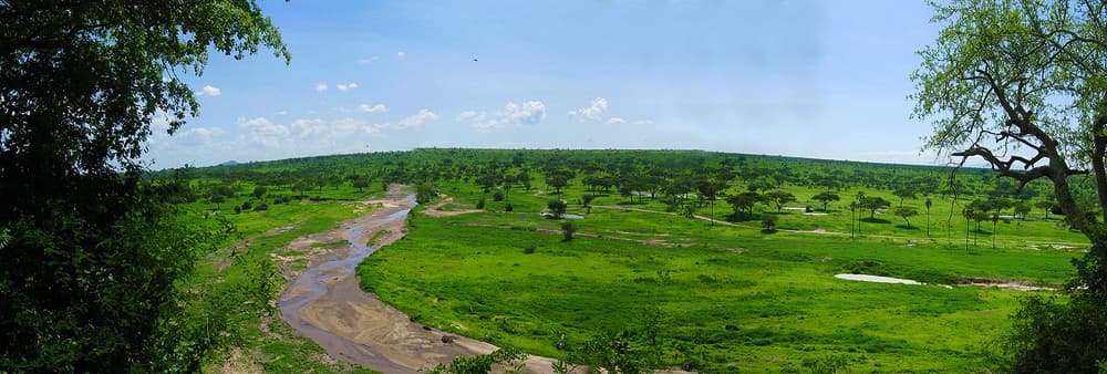 нац.парк Тарангири, Танзания нац.парк Тарангири, Танзания
