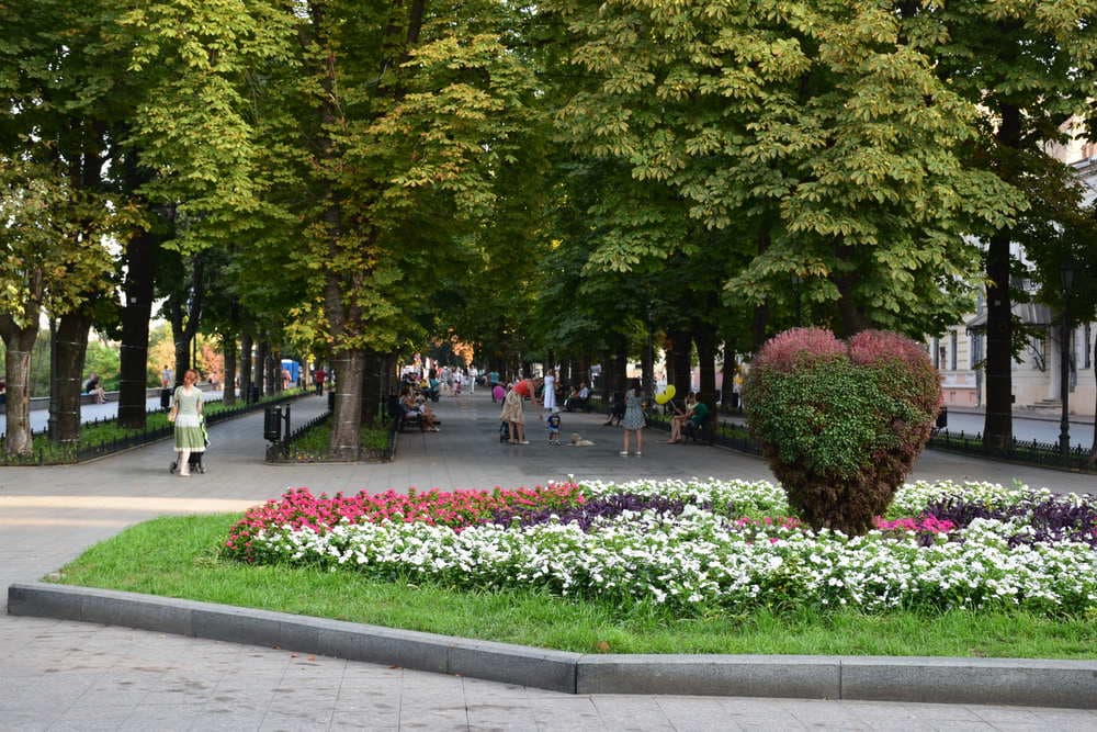 одесса одесса