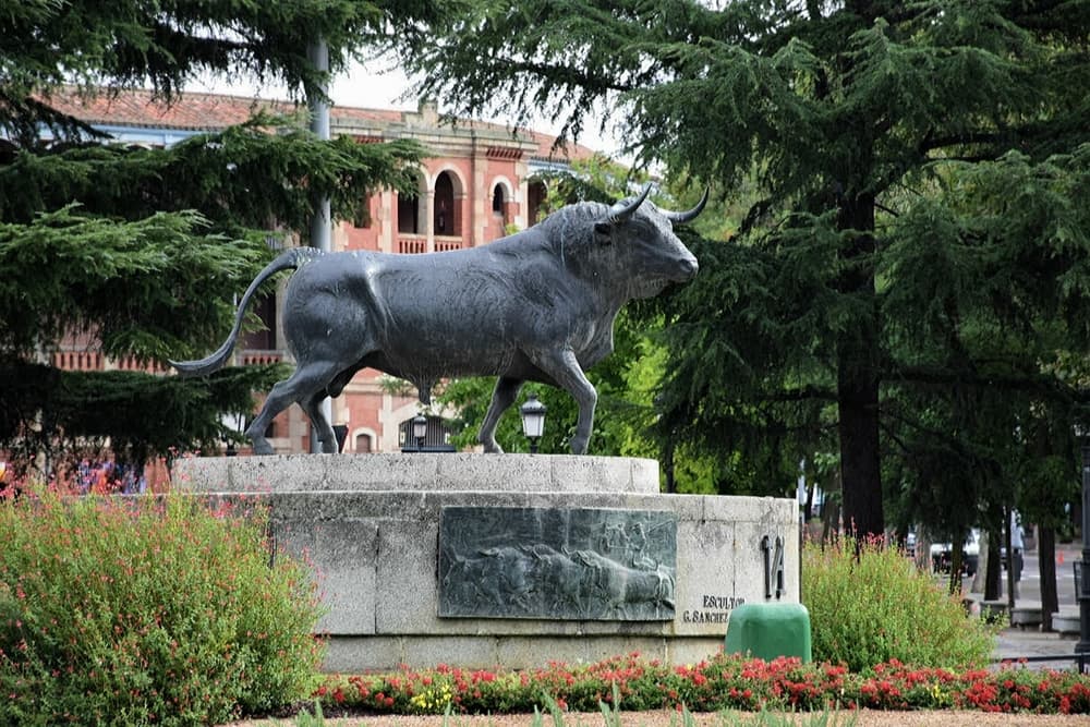 Саламанка, Коррида, Испания Саламанка, Коррида, Испания