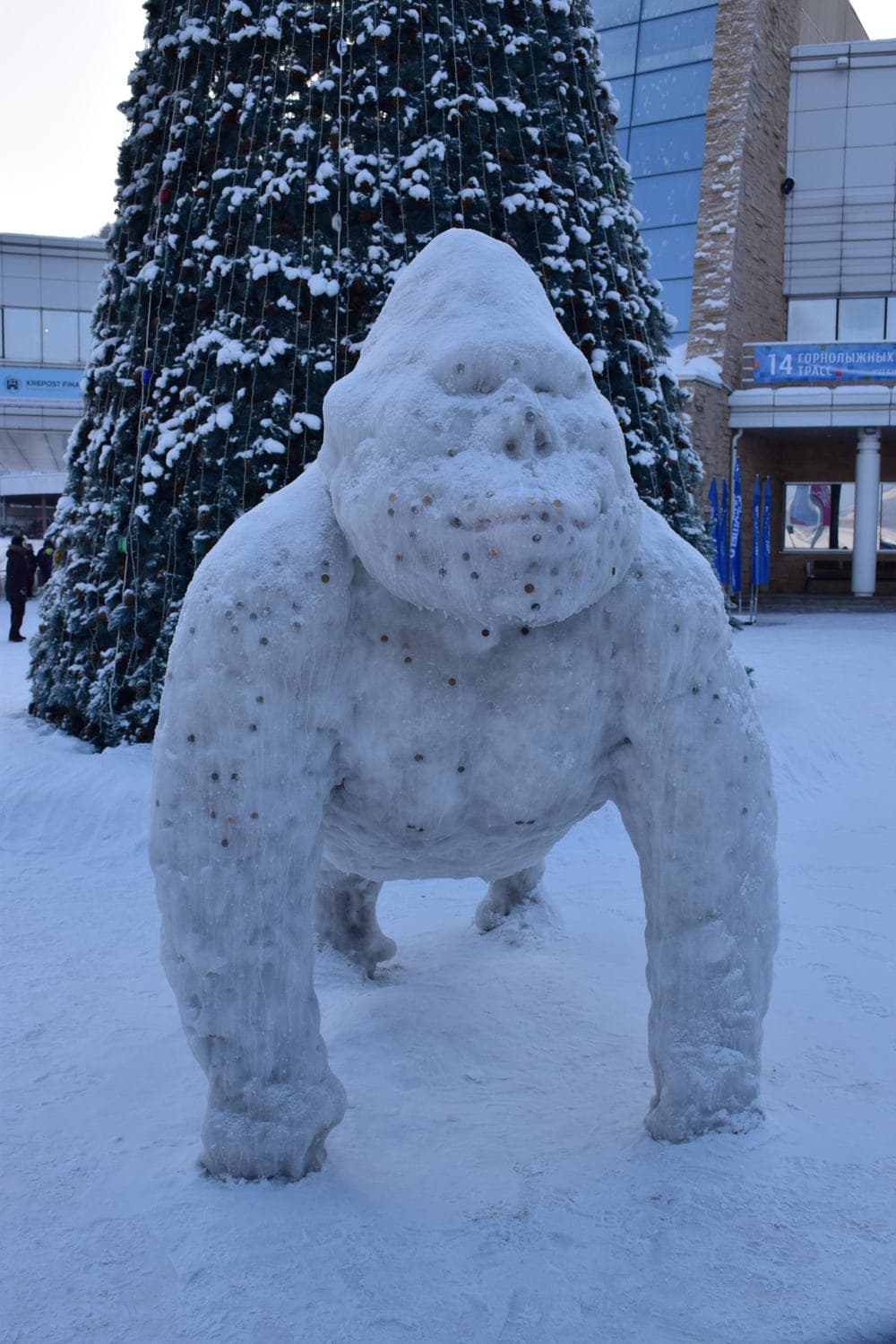 Бобровый лог, Красноярск Бобровый лог, Красноярск