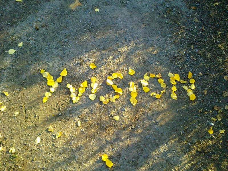 Yvision yvision Ювижн Юви лого