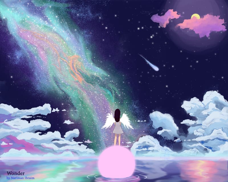 Wonder