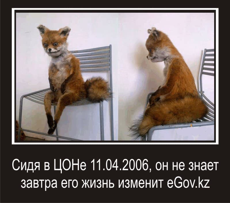 gAq9123GZKP90l2M5MbEEvYpr93kl0.jpg