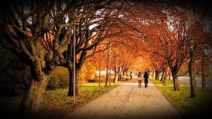 Herbst allee