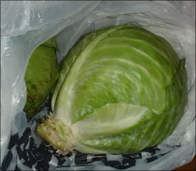 Капуста Капуста