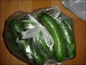 Огурцы Огурцы