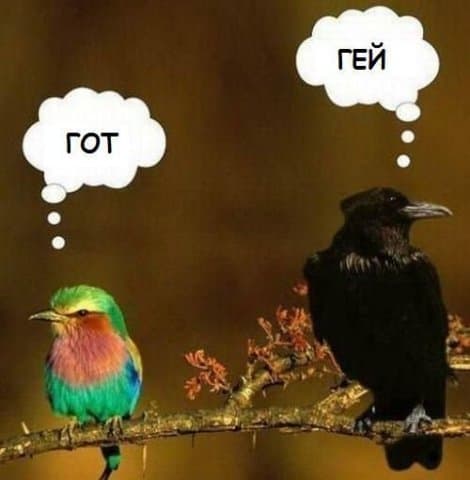 Готика юмор Готика юмор