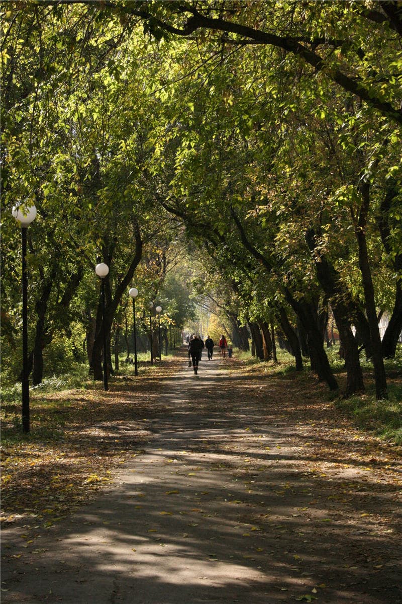 Старый Парк