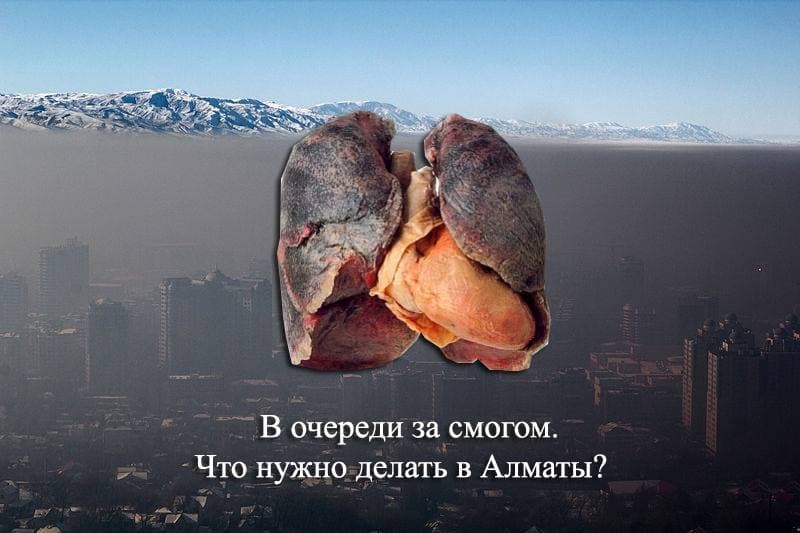 смог и люди в алматы смог в алматы. причины, следствия, как бороться