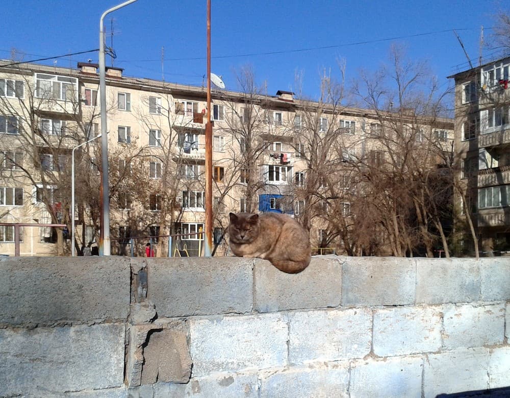 Котэ